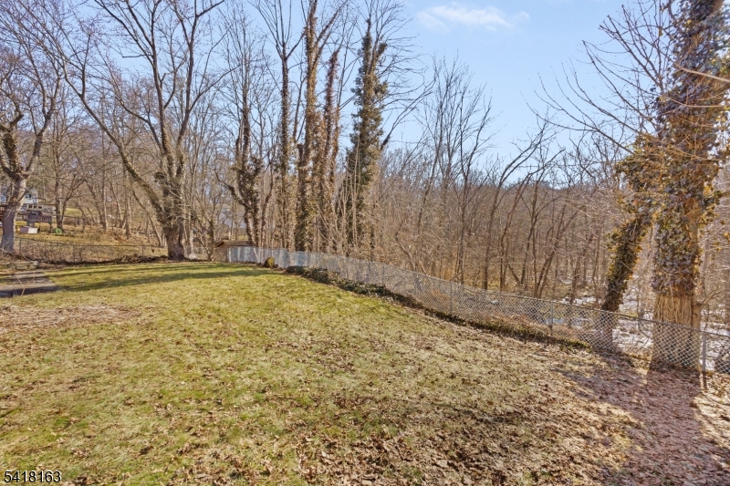 Cupsaw Lake - Residential