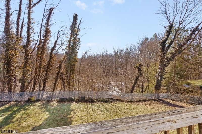 Cupsaw Lake - Residential