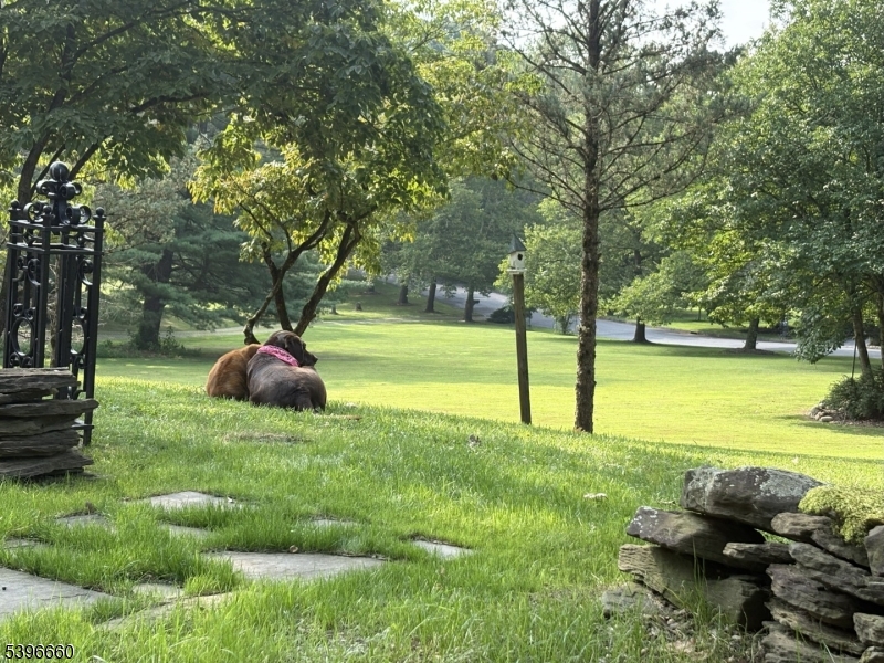 ROUND VALLEY - Residential