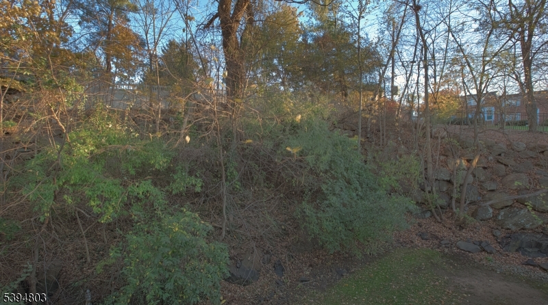 Scenic Hill - Residential