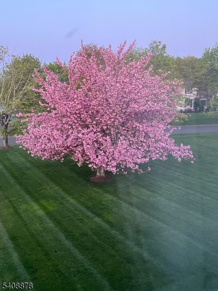 Shadowbrook - Residential