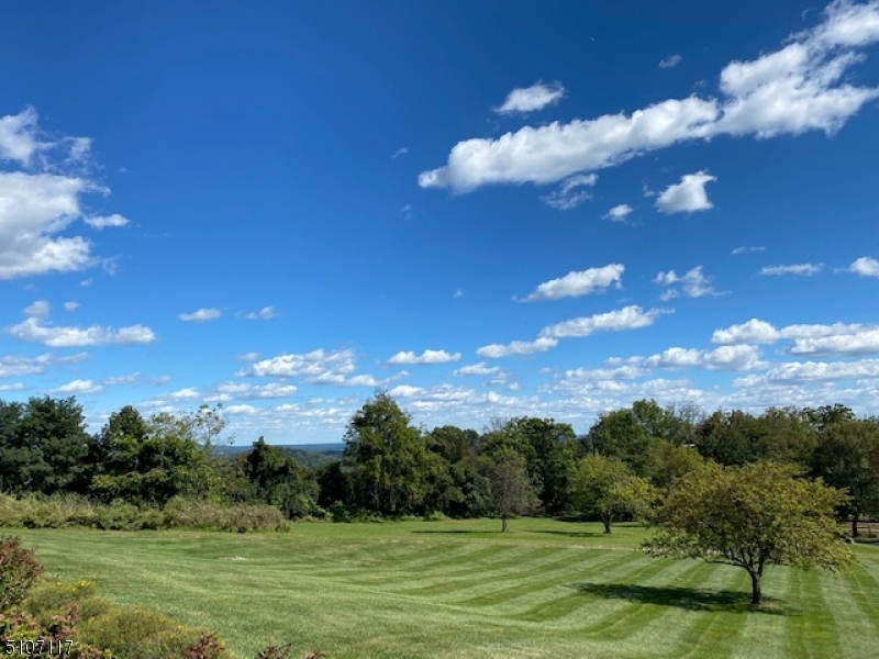 BISSELL - Residential