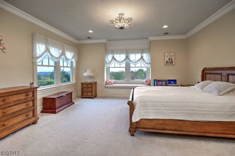 BISSELL - Residential