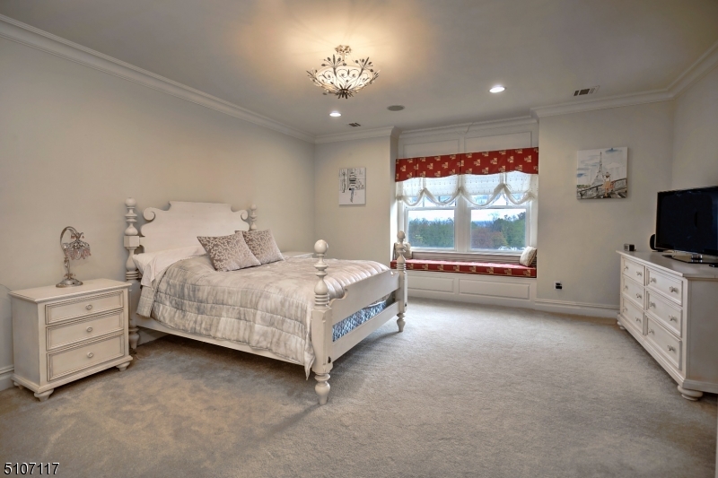 BISSELL - Residential