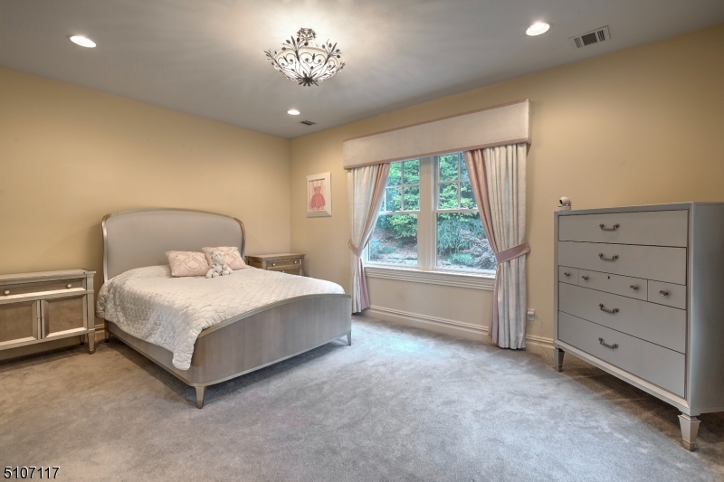 BISSELL - Residential