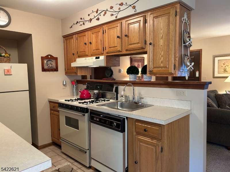 Great Gorge Village - Residential