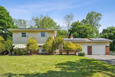 12 Xenia Ct Mine Hill Twp. NJ 07803