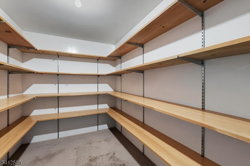 Shongum Lake - Residential