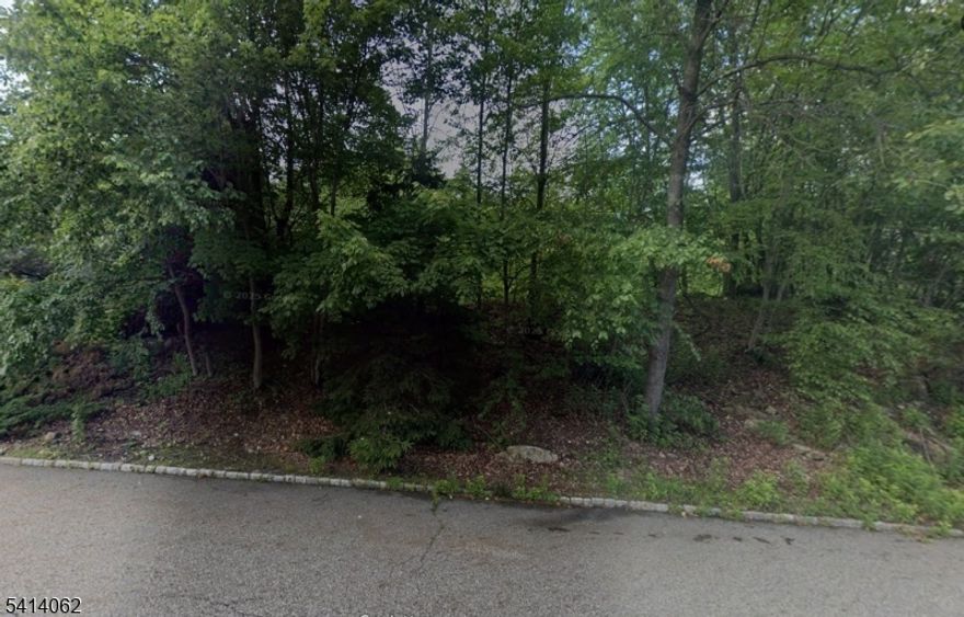 Exceptional opportunity to build your dream home on 25+ acres in a prestigious neighborhood surrounded by luxury residences exceeding $1M. Situated in Flood Zone X (no flood insurance required). Buyer is responsible for all due diligence and securing necessary approvals for construction. Natural Gas and Electric are available. No Survey available. No other information is available. Seller makes no representation as to property development.