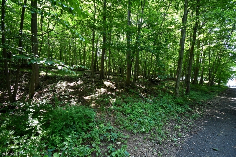 Photo 5 of 5 of 1 Chestnut St land