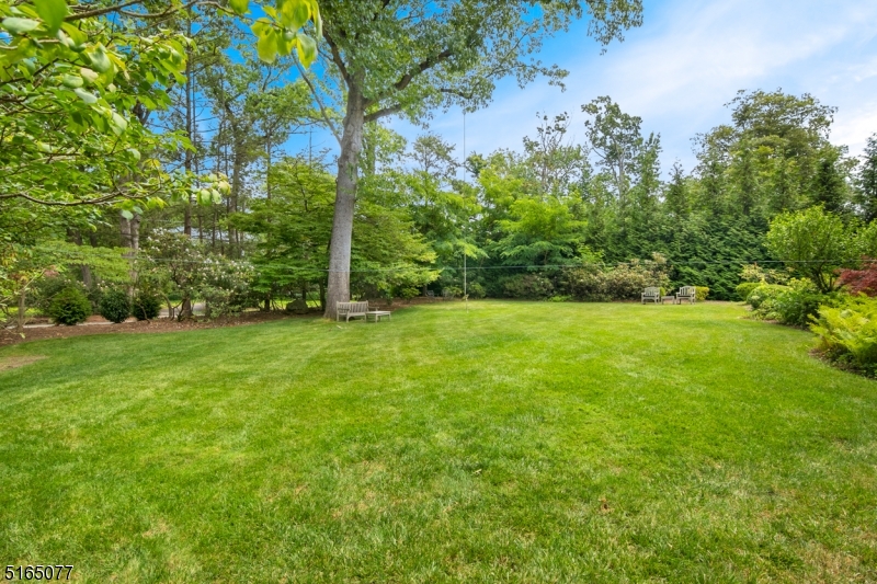 Old Short HIlls - Residential