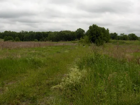 MLS: 3949964