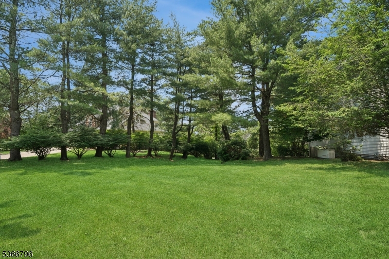 Paramount Estates - Residential