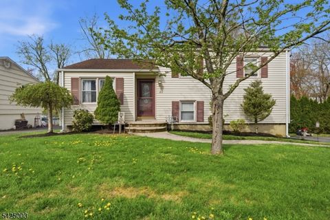 23 Witt Avenue, Denville Twp., NJ 07834 - #: 4021330