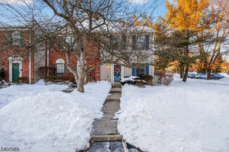 Society Hill - Residential