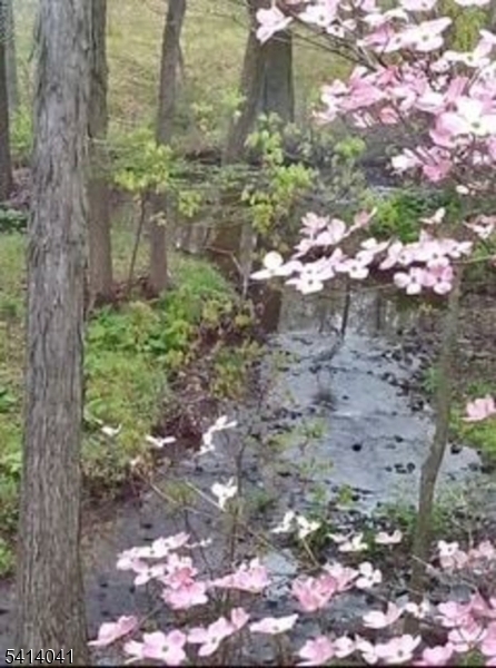 The Barons - Residential