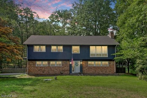 29 Cora Ln, Chester Twp., NJ 07930 - MLS#: 3916324