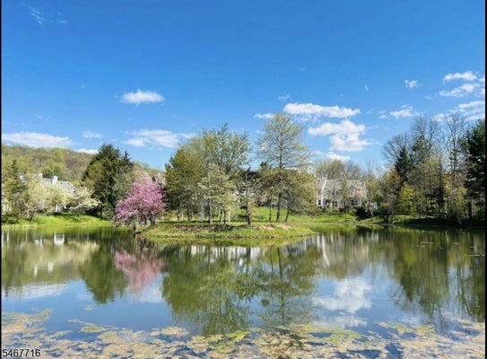 1 TEAL LN, BEDMINSTER, NJ 07921 - Image 1410f6c2ebc42792d9b385ca6c8aee1b/2120332097