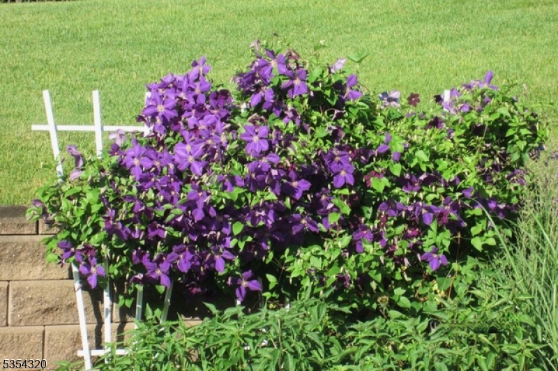 GREGORY - Residential