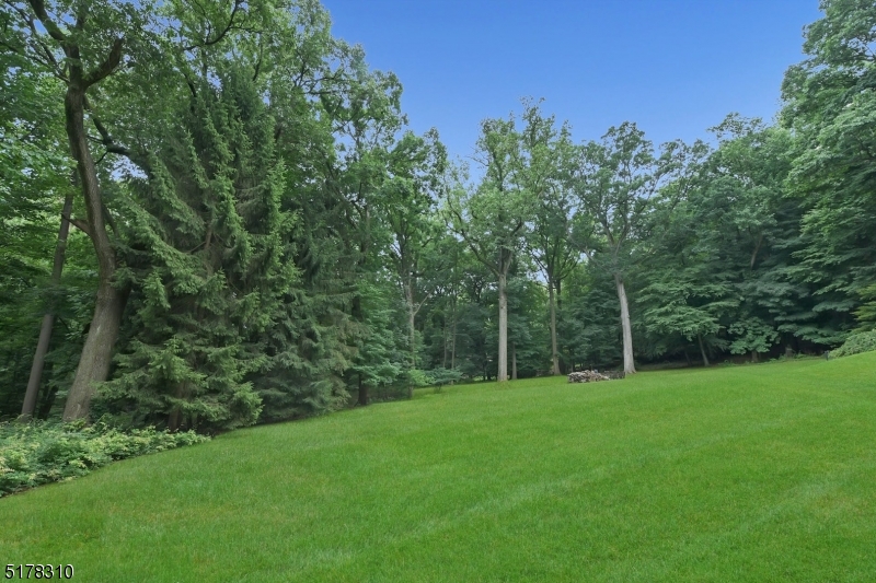 Llewellyn Park - Residential