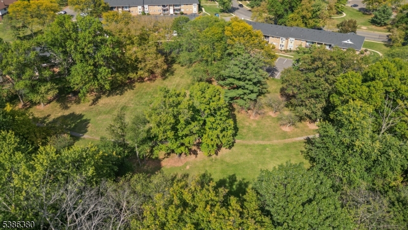 Alexandria at Hillsborough - Residential