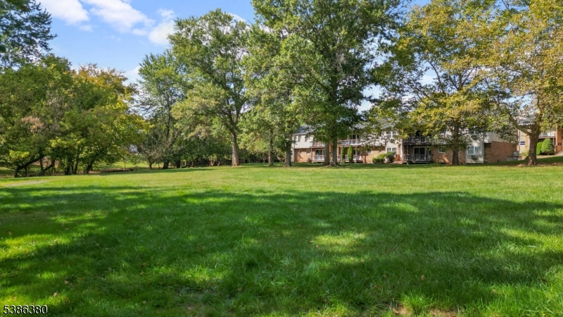 Alexandria at Hillsborough - Residential