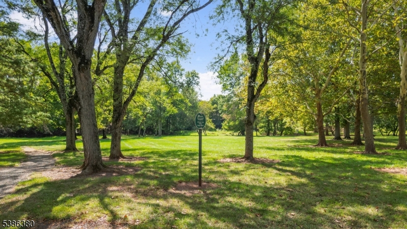 Alexandria at Hillsborough - Residential