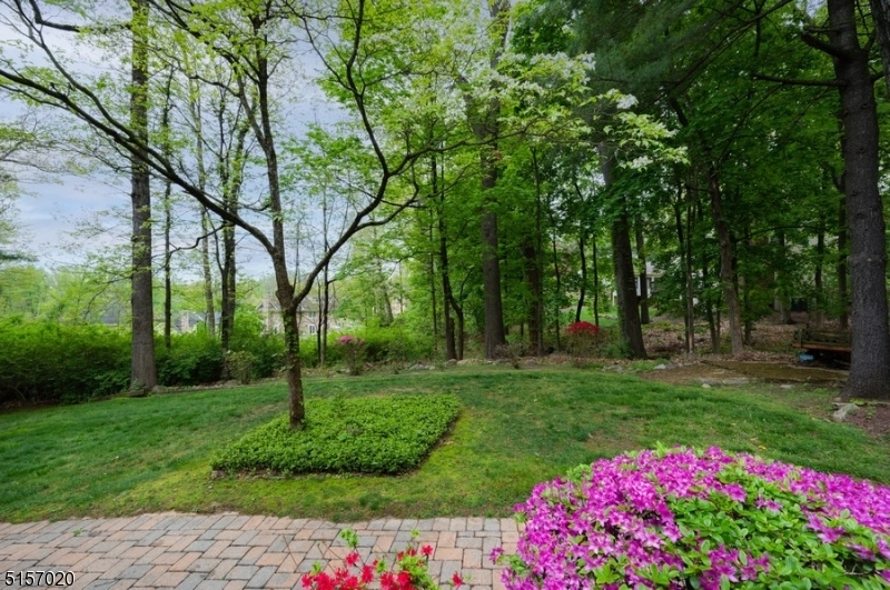 Park Section - Residential