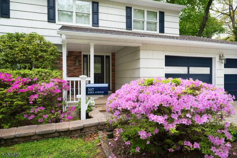 Park Section - Residential