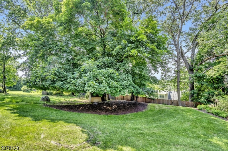 Lake Mohawk - Residential