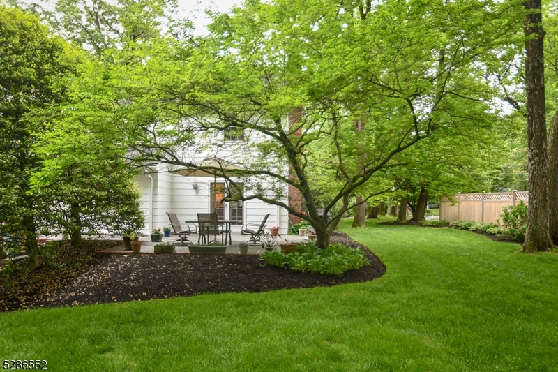 Woodland Park - Residential