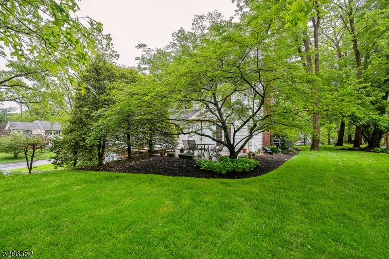 Woodland Park - Residential