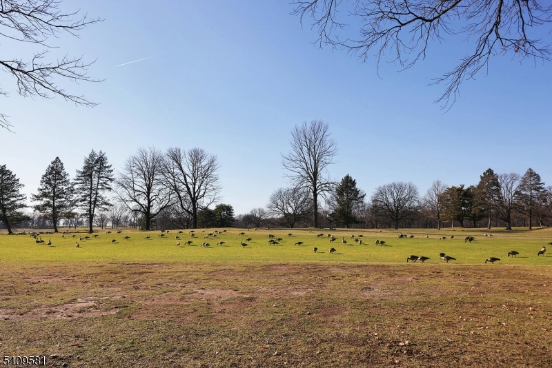 FOURPLEX SOUTH NEWARK - Residential Income