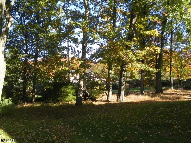 Woodland Hills - Residential