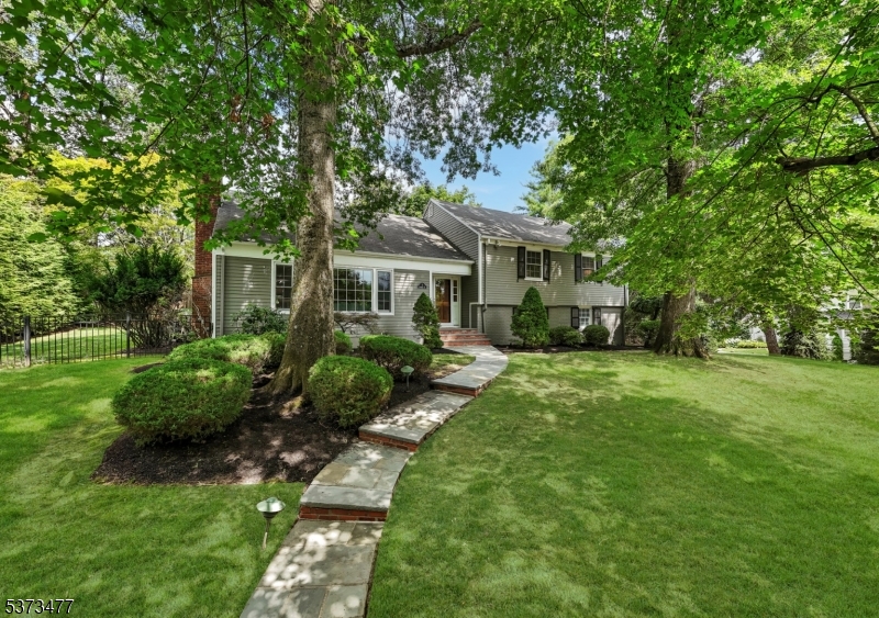 Old Short Hills - Residential