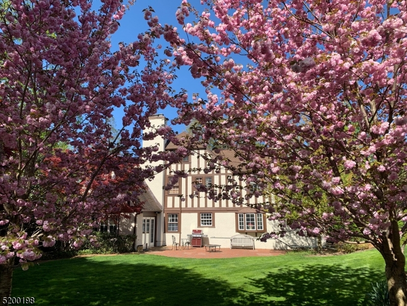 OLD SHORT HILLS - Residential