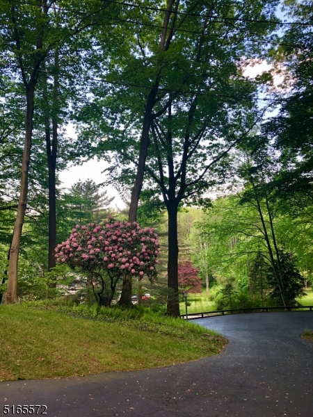 Mile Drive - Residential