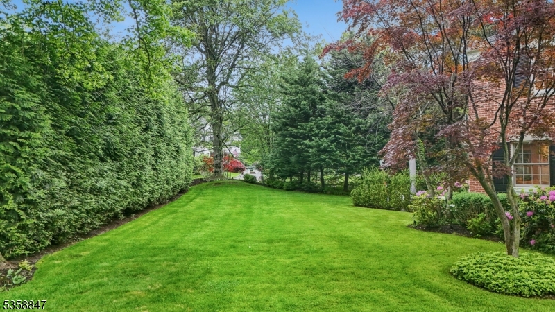 Old Short Hills - Residential