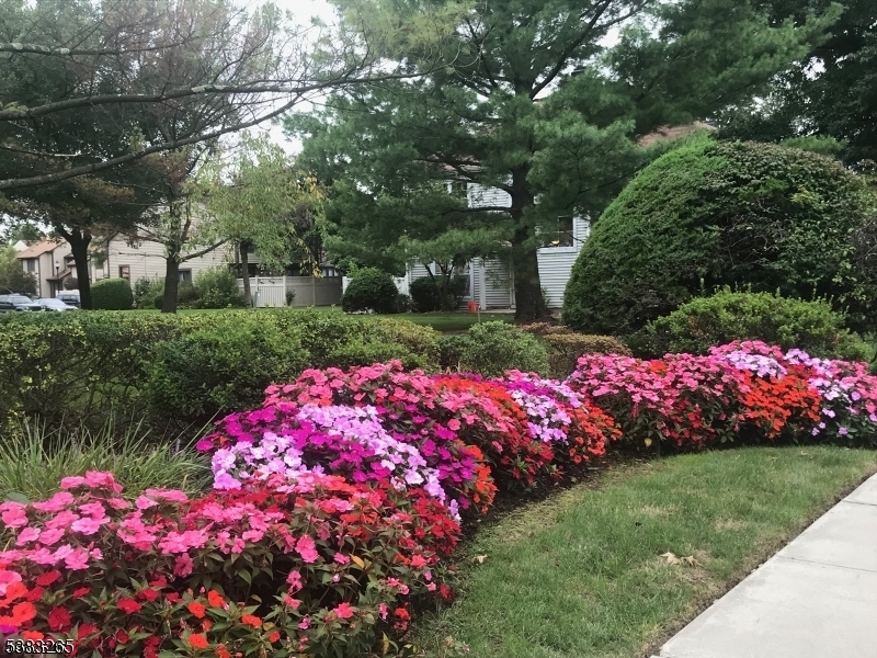 Sayrebrooke - Residential