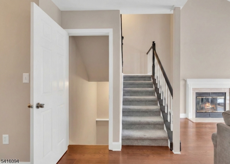 Old Towne/Countryside - Residential