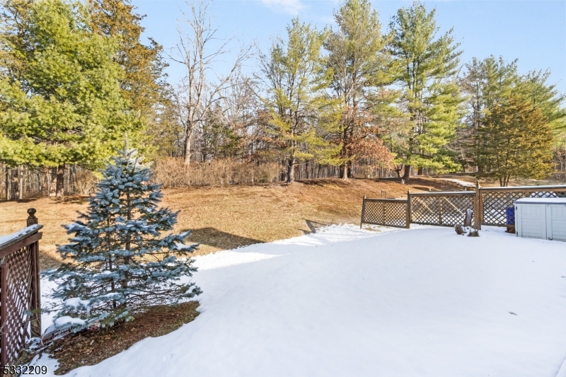 Long Meadow in The Hills - Residential