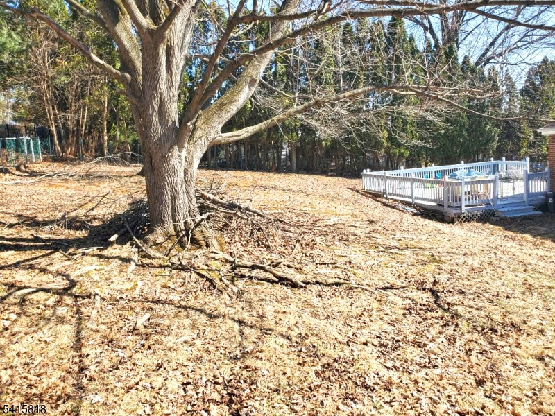 JENNY JUMP - Residential