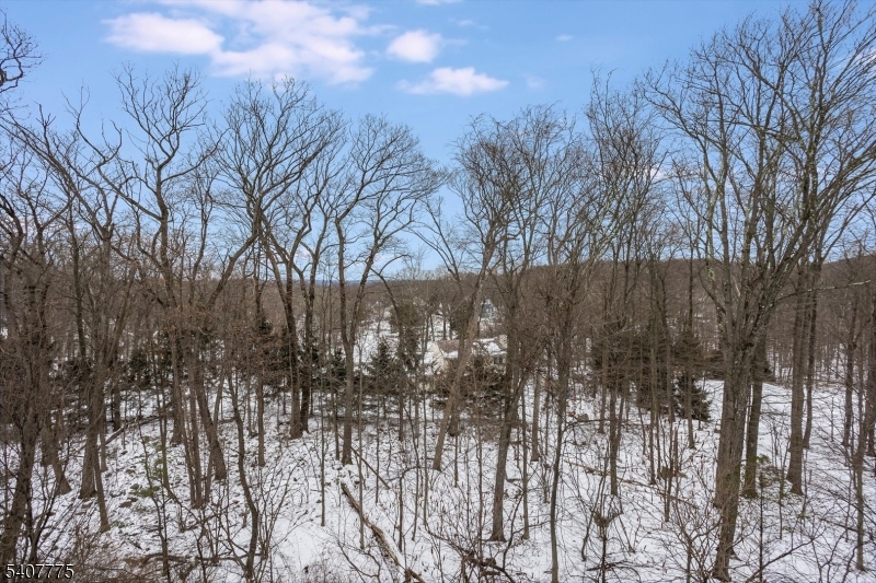 HORIZONS AT MT. ARLINGTON - Residential