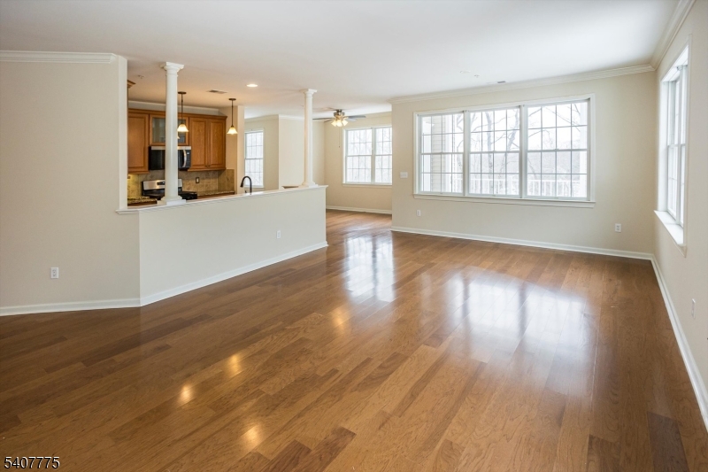 HORIZONS AT MT. ARLINGTON - Residential