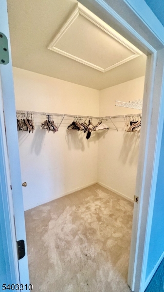 Clove Hill Manor - Residential