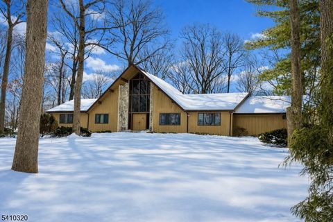 137 High Oaks Dr, Warren Twp., NJ 07059 - #: 4011394