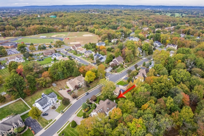 Tingley Hills Estates - Residential