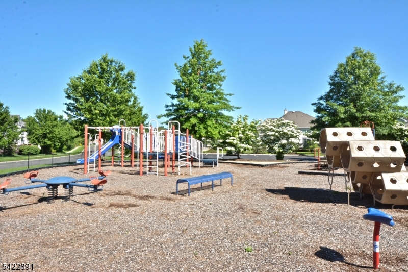 Carriage Gate - Residential