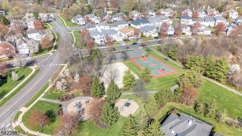 Carriage Gate - Residential