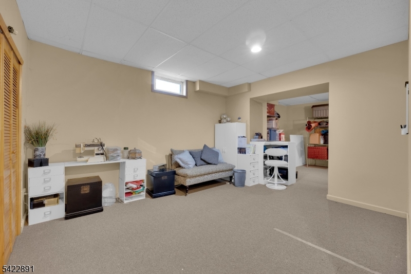 Carriage Gate - Residential